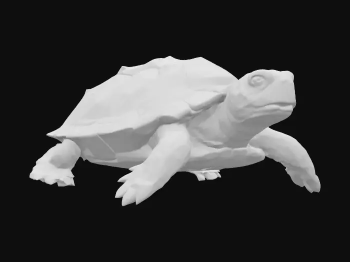 3D model for Turtle Stroll in the City