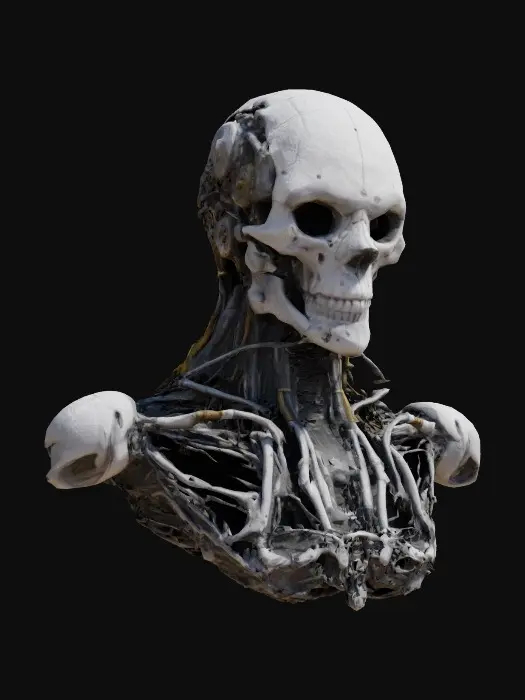 3D model for Cybernetic Evolution