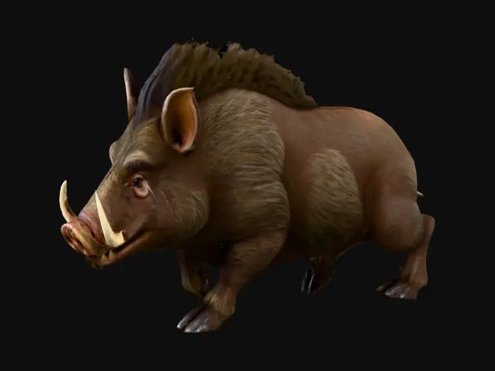 3D model for A formidable wild boar with a thick, powerful build and short, muscular legs. Its hide is covered in coarse, bristly fur, ranging from dark earthy browns to grey-black, with a rough, matted texture. Two large, ivory-colored tusks curve sharply upwards from its broad snout, appearing dense and hard. Its face has a fierce, determined expression with small, beady eyes, and its back displays a prominent ridge of stiffer hair, hinting at a tough, unyielding nature.