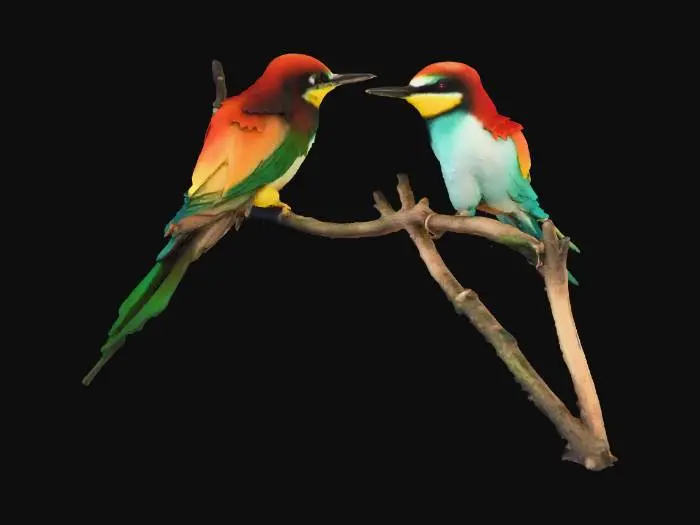 3D model for Two Birds on a Branch