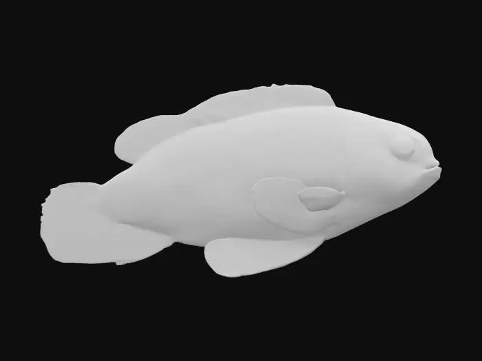3D model for A single fish, Highly Detailed, Ultra Realistic