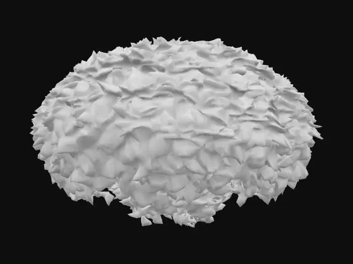 3D model for Bush. A dense, rounded bush with a compact, irregular shape, composed of numerous intertwined branches covered in an abundance of small, ovate leaves. The leaves are a vibrant, lush green, offering a slightly glossy finish on their upper surface and a duller underside, with a subtle vein texture. The branches are woody and stiff, creating a tangled mass. The overall texture is soft and yielding from the foliage but firm at its core, creating a natural, organic form.