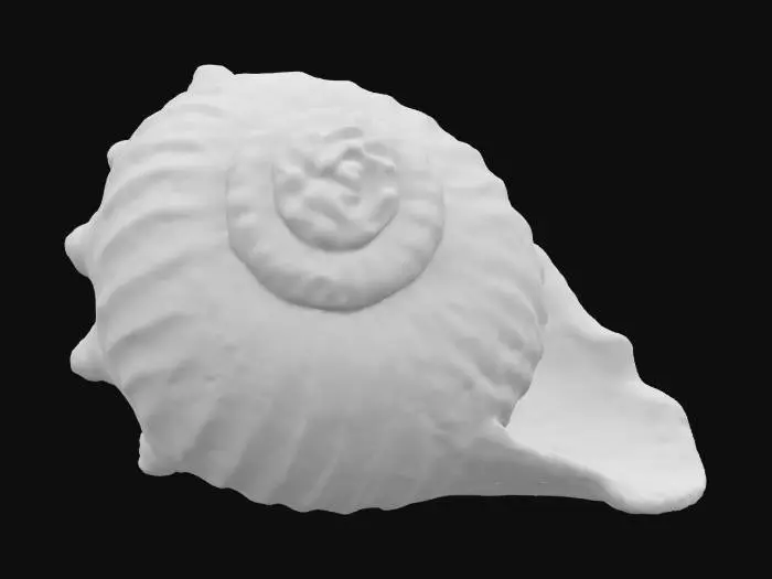 3D model for A realistic seashell, exhibiting a delicate, calcified structure with subtle imperfections. Its surface is often ridged or spiraled, presenting a finely textured, slightly gritty feel, reminiscent of dried sand. The dominant color is typically a muted off-white or cream, possibly with bands of light brown, grey, or pastel pink, showcasing natural fading. Its form can be a gracefully tapered cone, a swirling helix, or a ribbed fan, feeling lightweight yet remarkably sturdy to the touch. #ocean#