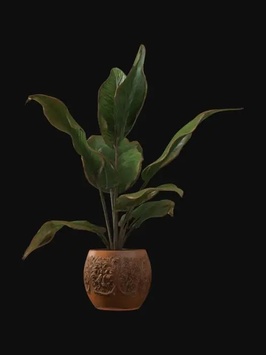 3D model for Plant , Game Assets