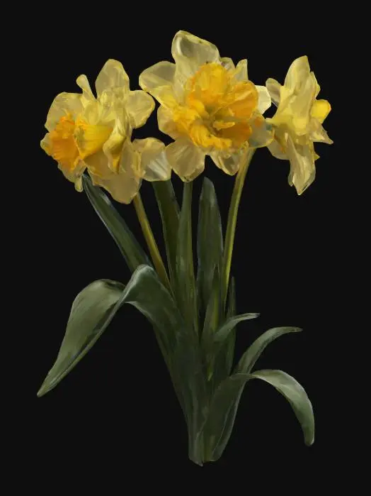 3D model for Daffodil Delight