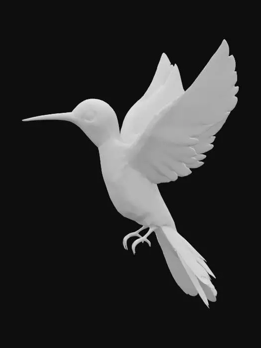 3D model for Radiant Hummingbird