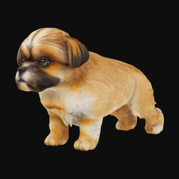 3D model for shih tzu dog, Highly Detailed, Ultra Realistic, 