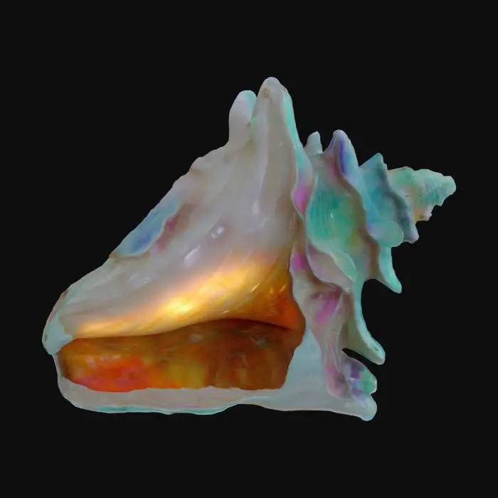 3D model for Seashell Symphony, #ocean#