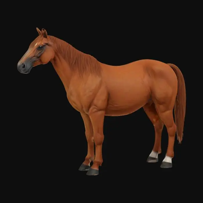 3D model for realistic horse