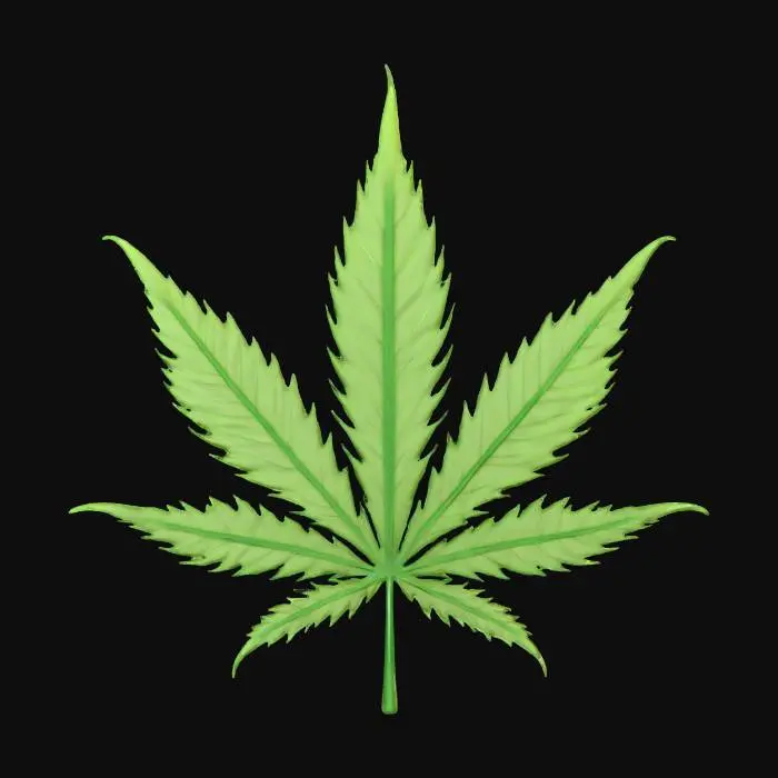 3D model for Cannabis Leaf Illustration
