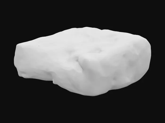 3D model for Pork Belly Slice