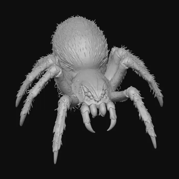3D model for Arachnid Majesty