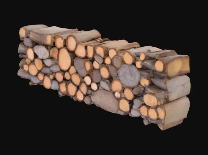 3D model for A wooden pile