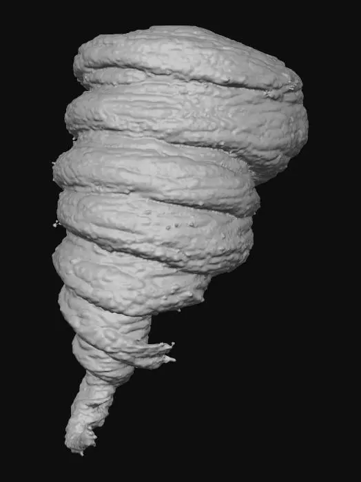 3D model for Twister Vortex