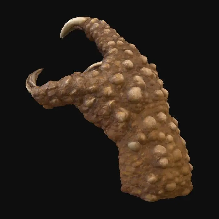 3D model for Ancient Claw