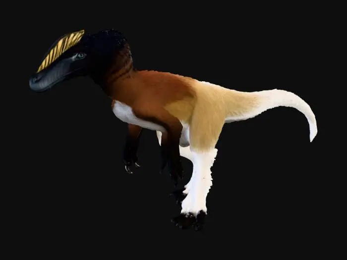 3D model for Raptor's Elegance