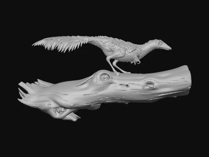 3D model for Mononykus