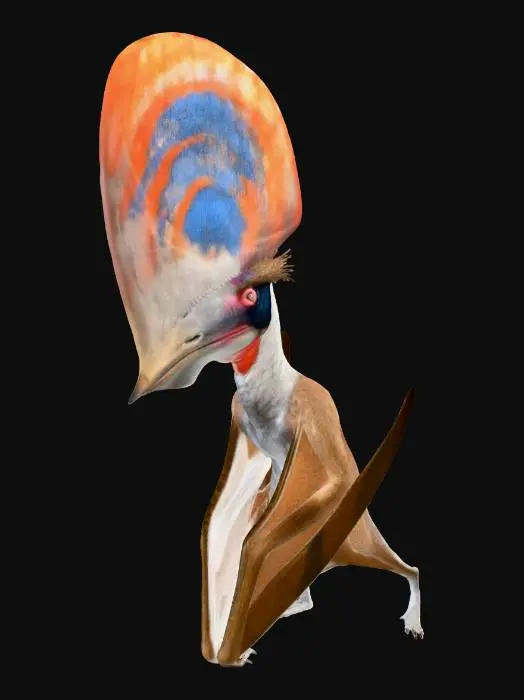 3D model for Majestic Crest Pterosaur