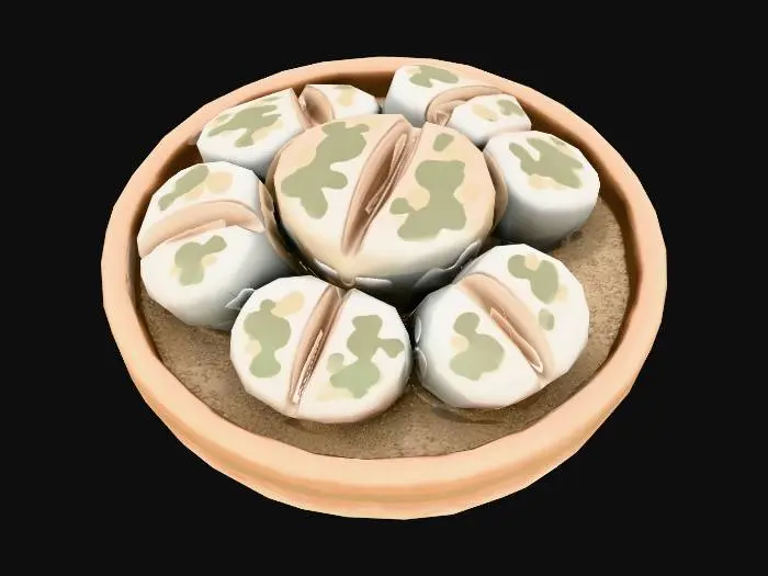 3D model for Lithops (living stones)