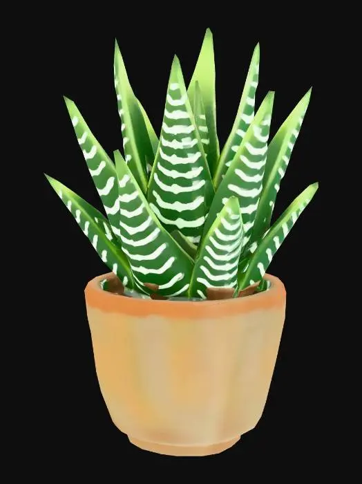 3D model for Succulent Serenity