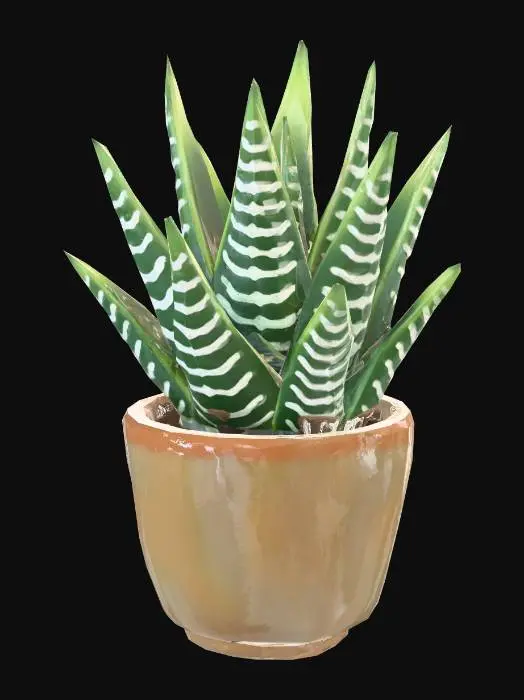 3D model for Succulent Serenity