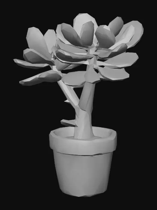 3D model for Jade plant (Crassula ovata)