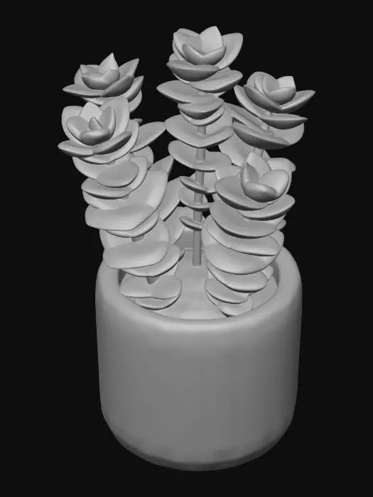 3D model for Crassula perforata (String of Buttons)