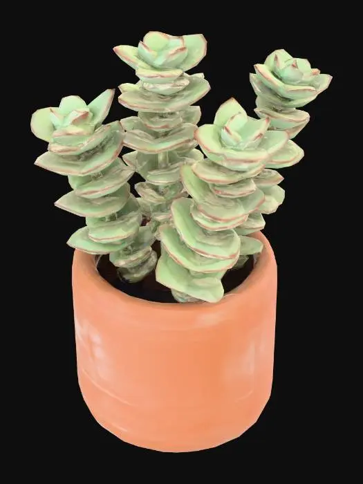 3D model for Crassula perforata (String of Buttons)