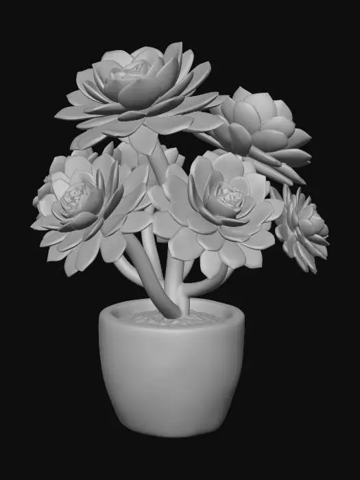 3D model for Aeonium arboreum (Tree aeonium)