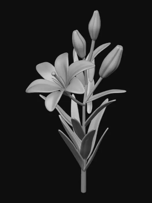 3D model for Lily Stem