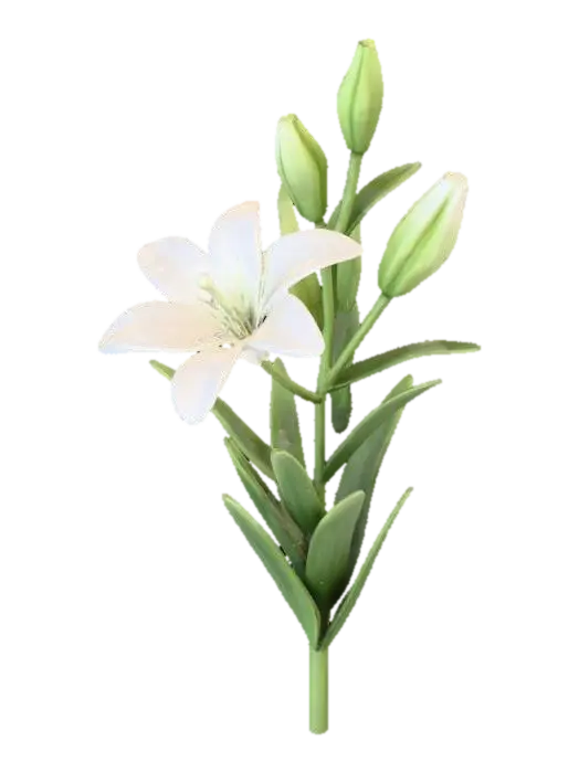 Lily Stem 3D model, vytvořený pomocí AI