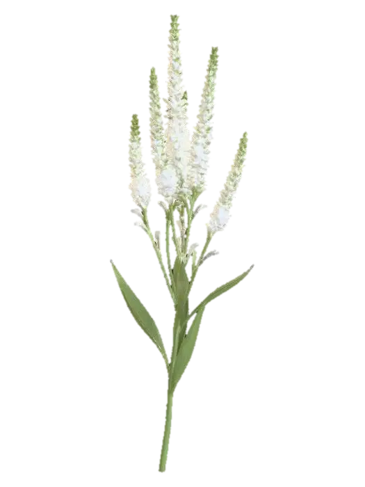 Veronica - Stem 3D model, vytvořený pomocí AI