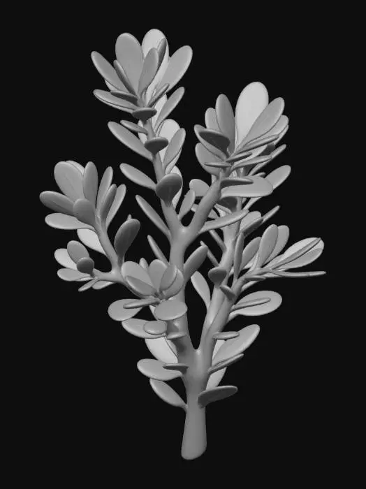 3D model for pittosporum foliage stem