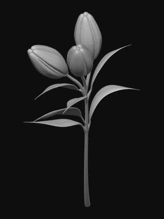 3D model for Pastel Lily Trio