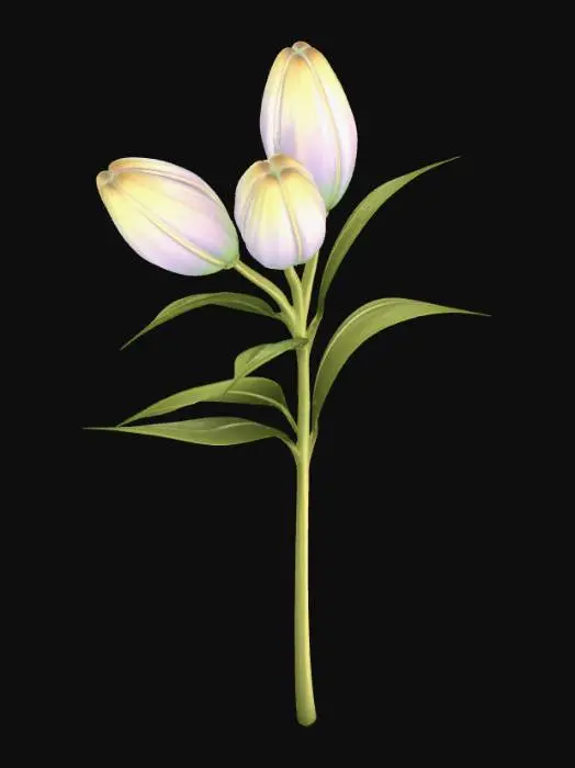 3D model for Pastel Lily Trio
