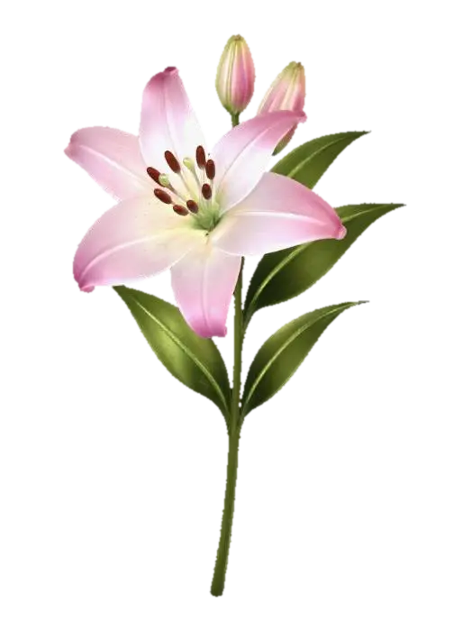 Pink Lily - Stem 3D model, vytvořený pomocí AI