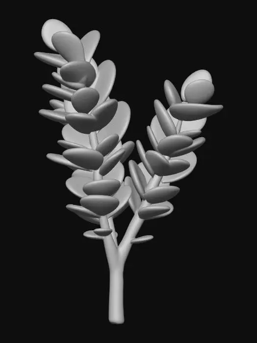 3D model for Salal stem