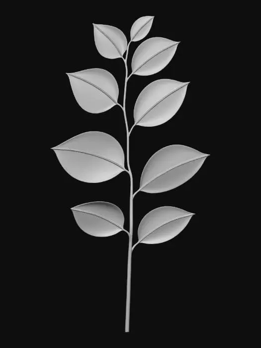 3D model for Salal stem