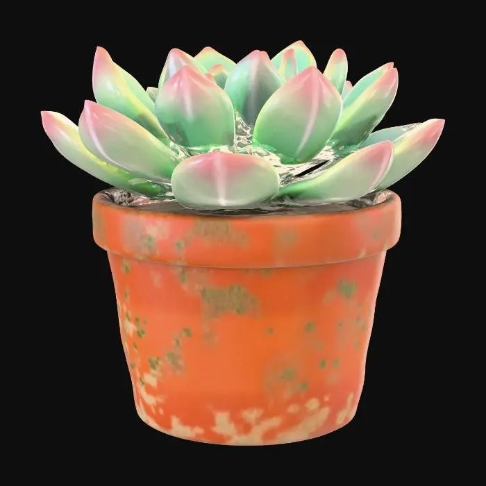 3D model for Echeveria (rosette)