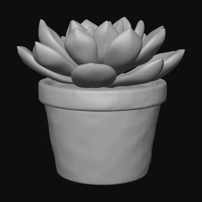 3D model for Echeveria (rosette)
