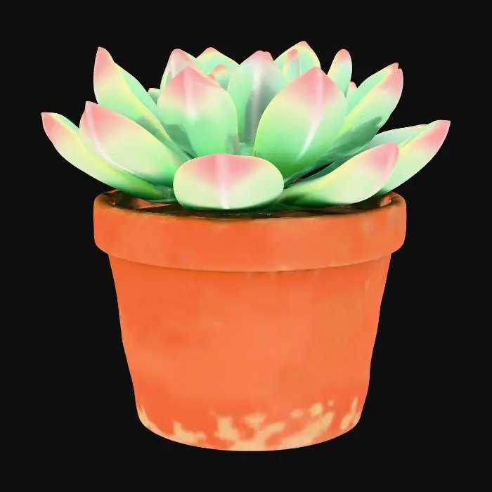 3D model for Echeveria (rosette)