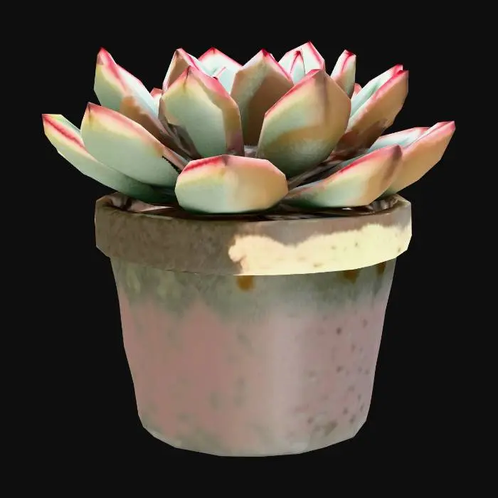 3D model for Meshy_AI_Echeveria_rosette__0206155813_generate