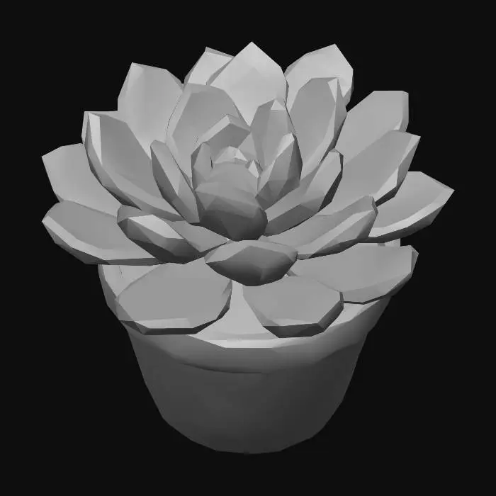 3D model for Echeveria (rosette)