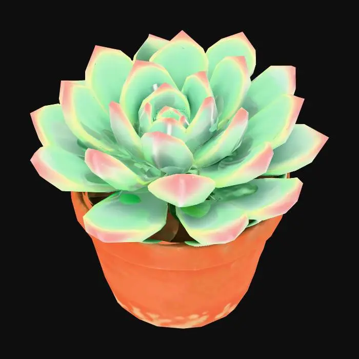 3D model for Echeveria (rosette)