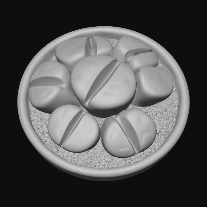 3D model for Lithops (living stones)
