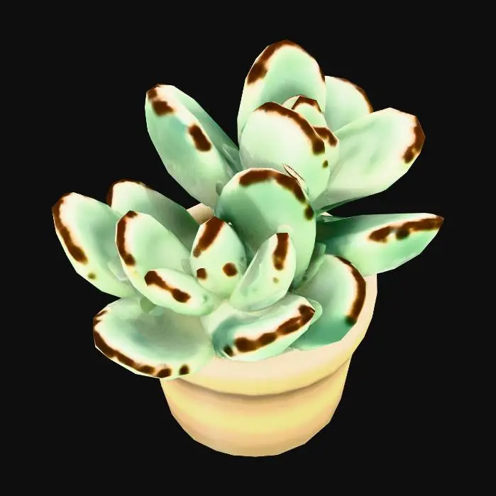 3D model for Panda Succulent in Pot