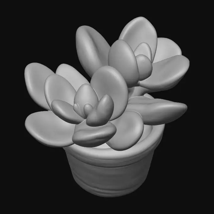3D model for Panda Succulent in Pot