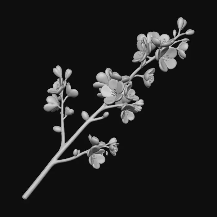 3D model for Cherry Blossom