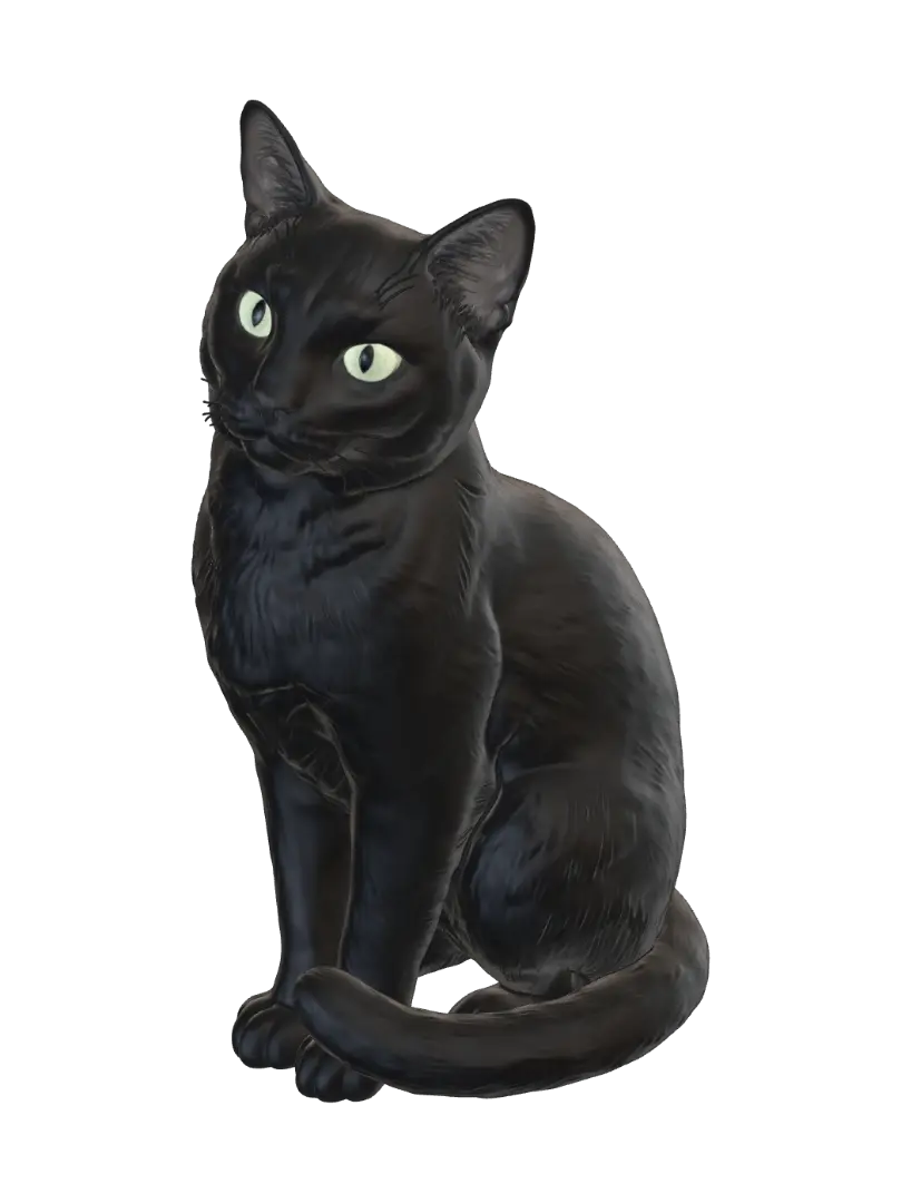 My black cat - Mainecoon 3D model, vytvořený pomocí AI