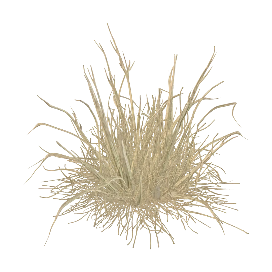 Dry Grass Clump - Dusty 3D model, vytvořený pomocí AI